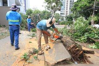 Funcionário faz corte para transportar tronco (Foto: Divulgação/Prefeitura de Campo Grande)