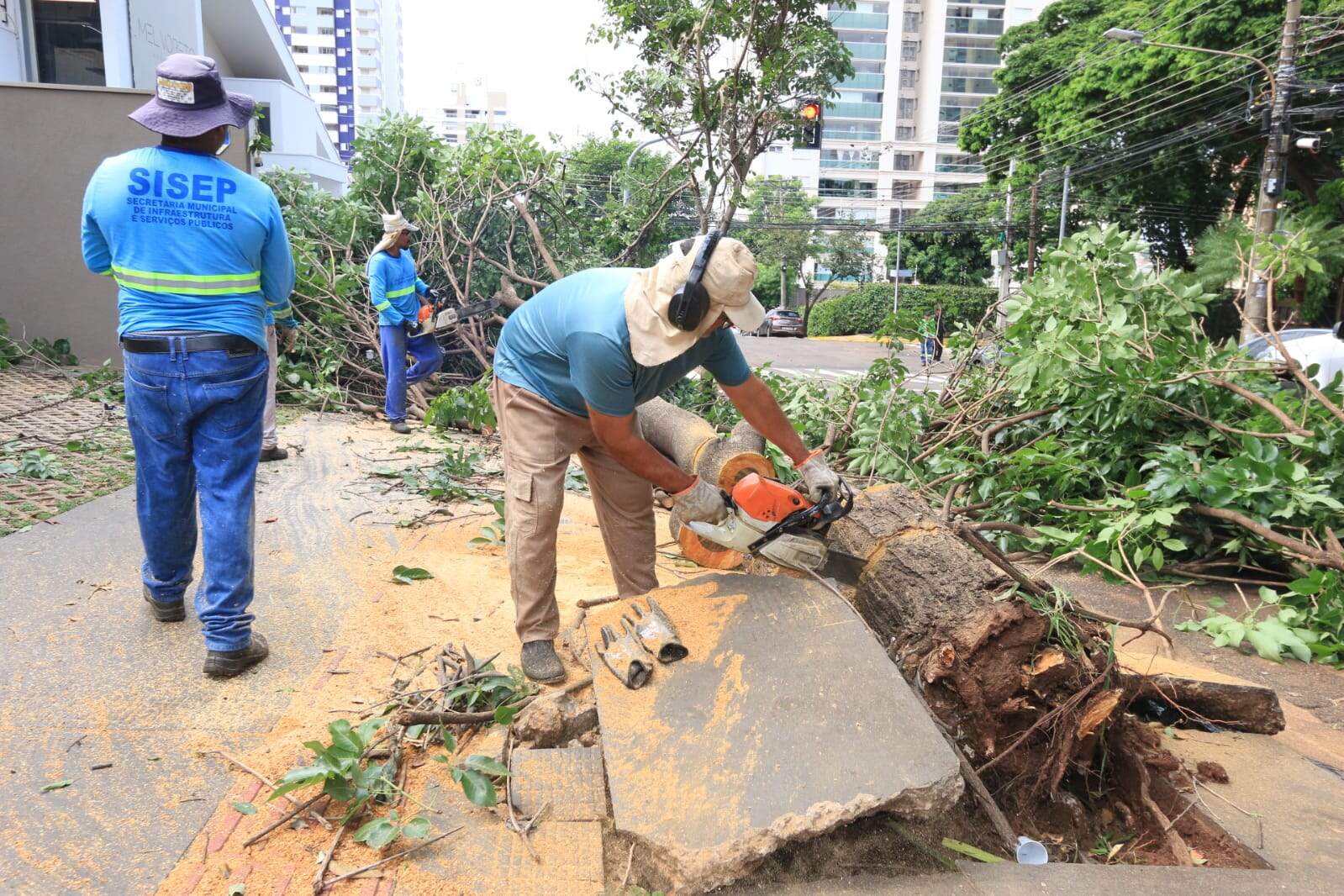 Quase 3 dias após temporal, equipes ainda trabalham na remoção de árvores