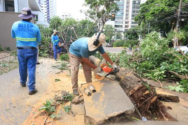 Quase 3 dias ap&oacute;s temporal, equipes ainda trabalham na remo&ccedil;&atilde;o de &aacute;rvores