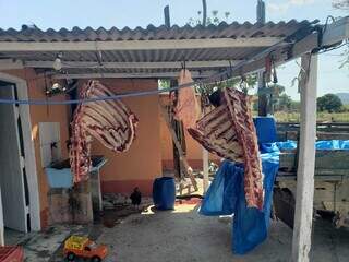 Carne clandestina pendurada na propriedade rural onde comerciante foi preso (Foto: Divulgação/PCMS)
