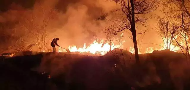 Focos de inc&ecirc;ndio na regi&atilde;o do Pantanal aumentaram 20% em 1 ano