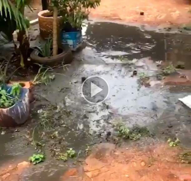 Água de esgoto invade quintal e moradora reclama de demora para conserto 