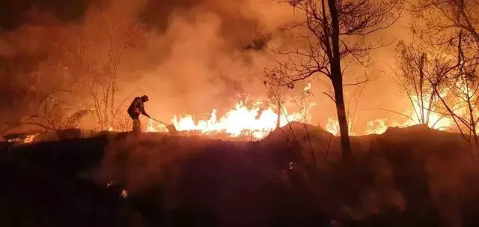 Focos de incêndio na região do Pantanal aumentaram 20% em 1 ano