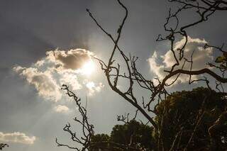 Sol desta tarde no Parque das Nações Indígenas (Foto: Henrique Kawaminami)