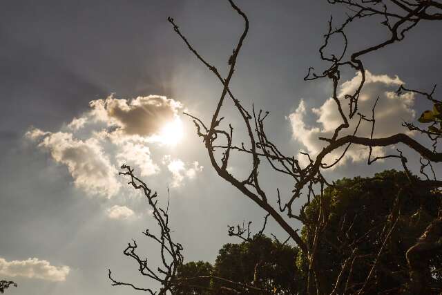 Campo Grande enfrenta 38,1&ordm;C e tem novo recorde do ano 