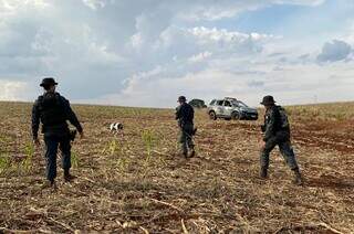 Equipe do Choque faz varredura em terreno onde carteira foi encontrada. (Foto: Reprodução)