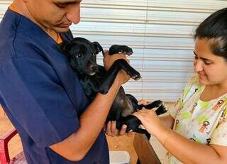 Filhote de cachorro é atendido por funcionários da Subea (Foto: Divulgação)