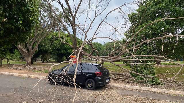 Risco de tempestade em todo MS com rajadas de ventos de 100 km/h 