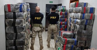 Carregamento encontrado em carga de paletes (Foto: Divulgação/PRF)