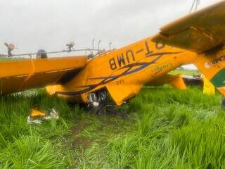 Avião agrícola tombou em lavoura de arroz em Ponta Porã; piloto morreu (Foto: Direto das Ruas)