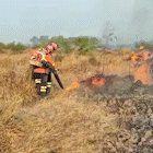 Em outubro crítico, brigadistas combatem fogo que atinge 3 regiões do Pantanal 