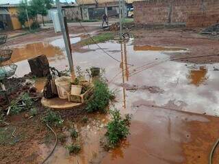 Na Rua Centopeia, a água chega a invadir quintal de residências (Foto: Direto das Ruas)