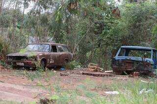 Carros velhos, sem rodas e com a estrutura danificada foram deixados em terreno (Foto: Marcos Maluf)