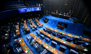O Plenário do Senado Federal, em Brasília. (Foto: Valter Campanato/Agência Brasil)