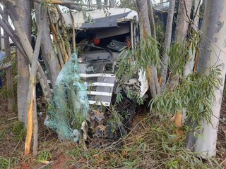 Motorista perde controle, carreta sai da pista e colide com eucalipto na BR-376