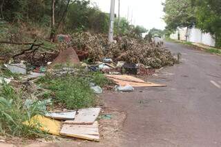 Calçada da Rua Presidente Delfim Moreira está tomada por lixo, galhos e entulhos (Foto: Marcos Maluf)