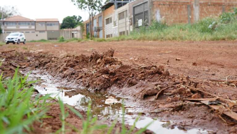 Campo Grande News