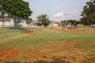 Campo com mato e área sem as traves, que foram pintadas recentemente (Foto: Paulo Francis)