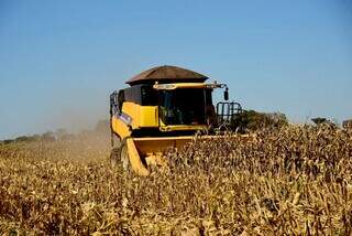 Colheitadeira avança sobre área plantada com milho em MS; produtividade do grão ficou na média dos últimos 5 anos. (Foto: Arquivo/Sistema Famasul)