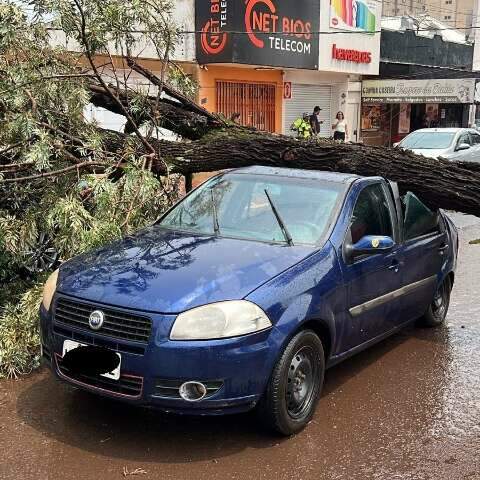 Moto &eacute; destru&iacute;da e carro danificado durante vendaval de 70 km/h