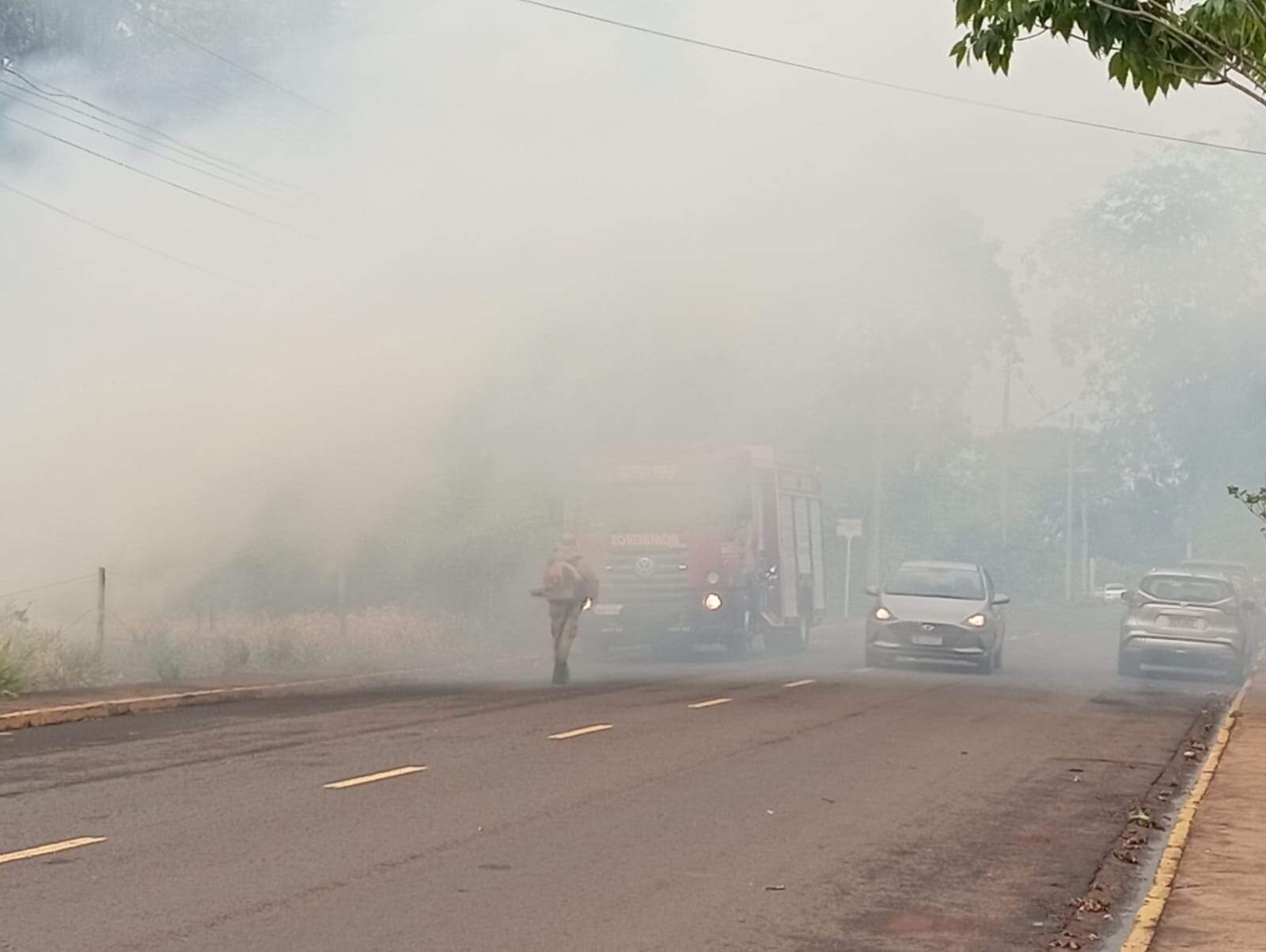 Vegetação queima, fumaça atrapalha trânsito e aciona alarme de hospital