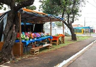 Barraca de flores do Cristovão no cemitério Santo Antônio, em Campo Grande (Foto:Henrique Kawaminami)