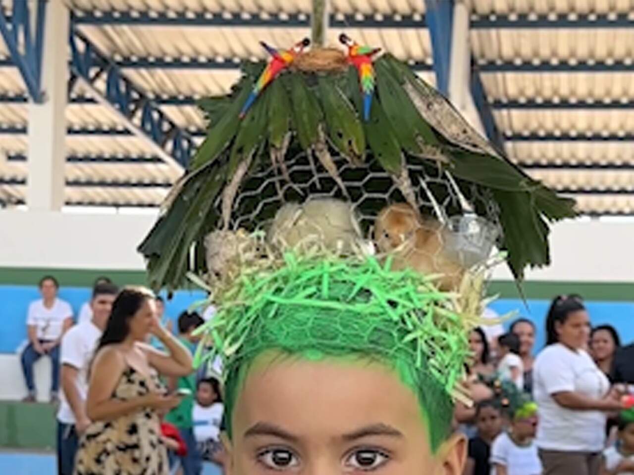 Em concurso de cabelo maluco, criança aparece com pintinhos na cabeça