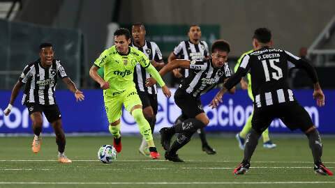 Com virada espetacular, Palmeiras supera Botafogo e faz 4 a 3 no Nilton Santos