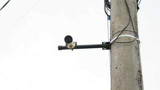 Uma das 35 câmeras que empresa de internet instalou no Jardim das Nações. (Foto: Alex Machado)