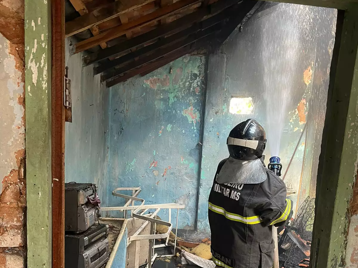 Homem incendeia casa ao tentar exterminar colmeia de abelhas