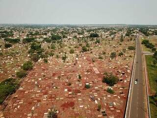 Vista do alto do Cemitério Santo Amaro, onde há, aproximadamente, 46 mil jazigos (Foto: Jairton Bezerra)