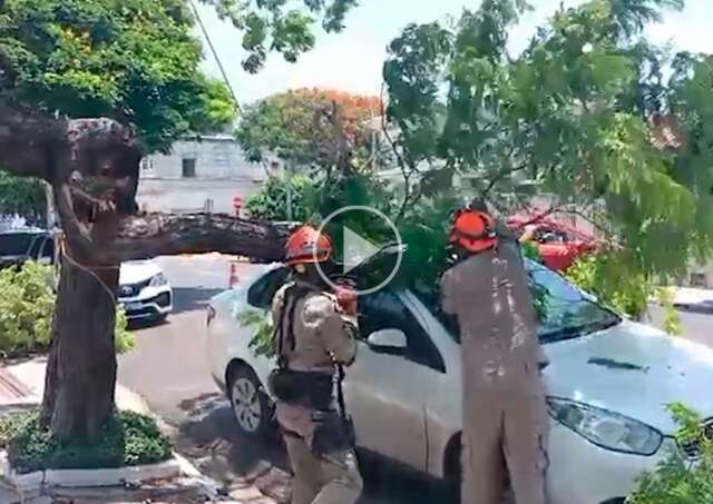 Temporal Com Ventos De Km H Derruba Rvore Em Cima De Casa E De Carro Interior Campo