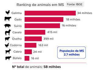 Mato Grosso do Sul tem 21 vezes mais animais do que pessoas