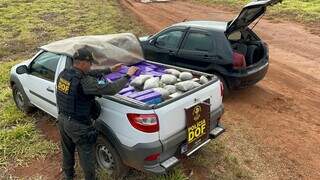 Picape Strada lotada de maconha, apreendida ontem pelo DOF (Foto: Divulgação)