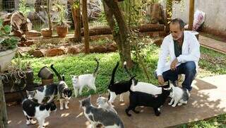 Marco César Alcântara com alguns gatos da clínica onde trabalha. (Foto: Alex Machado)