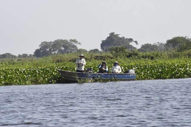 Piracema: Pesca est&aacute; proibida a partir deste domingo