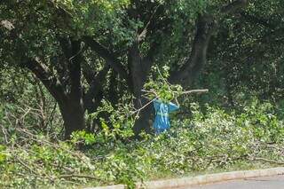 Trabalhador recolhe galhos às margens do Rio Anhanduí (Foto: Marcos Maluf)