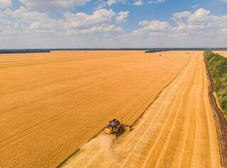 Colheita de soja na última safra em área agrícola de Campo Grande; município produziu 738 mil toneladas de grãos em 2022. (Foto: Divulgação)