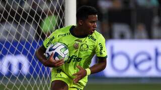 Atacante Endrick após fazer gol diante do Botafogo pelo Brasileirão (Foto: Cesar Greco/Palmeiras) 