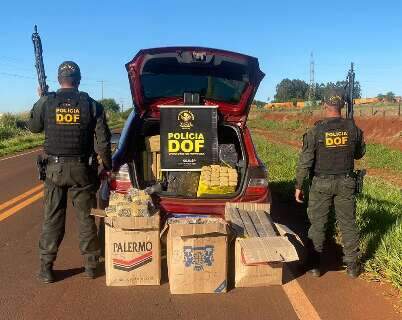 Polícia apreende meia tonelada de maconha no interior de carro furtado