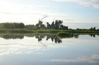 Área do pantanal sul-mato-grossense durante pôr do sol (Foto: Viviane Amorim)