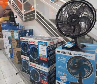 Distribuidoras de ventiladores já tiveram falta de produto, diz Jânio (Foto: Geniffer Valeriano)
