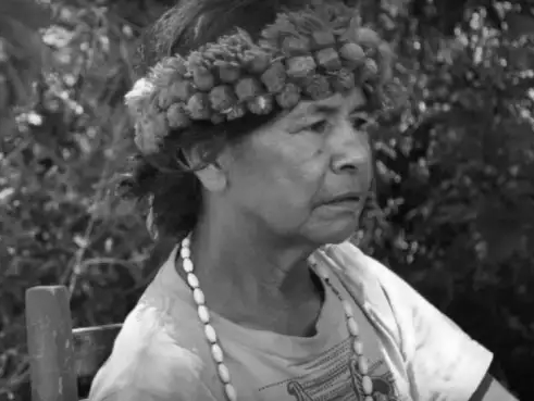 Símbolo de resistência, líder indígena Damiana Cavanha morre aos 81 anos