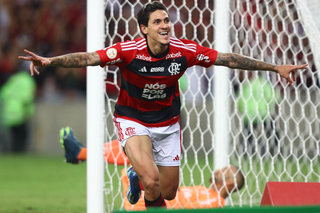 Pedro comemora segundo gol marcado durante confronto com o Palmeiras, no Maracanã. (Foto: Gilvan de Souza/Flamengo)