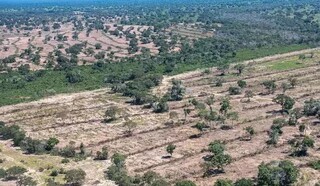 Imagem aérea do Pantanal mostra a dimensão do desmatamento, a maioria autorizado pelos órgãos públicos (Foto SOS Pantanal)