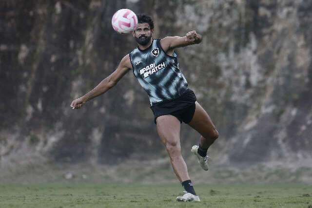 Com rodada favor&aacute;vel, Botafogo recebe Gr&ecirc;mio pelo Brasileir&atilde;o