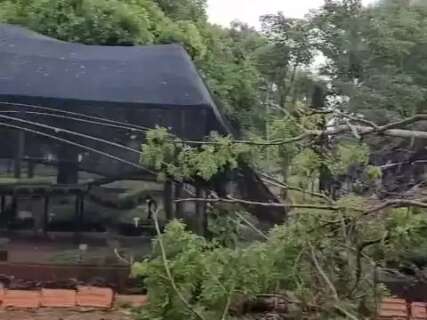 Ventania destrói viveiro municipal e interdita praça em Aquidauana