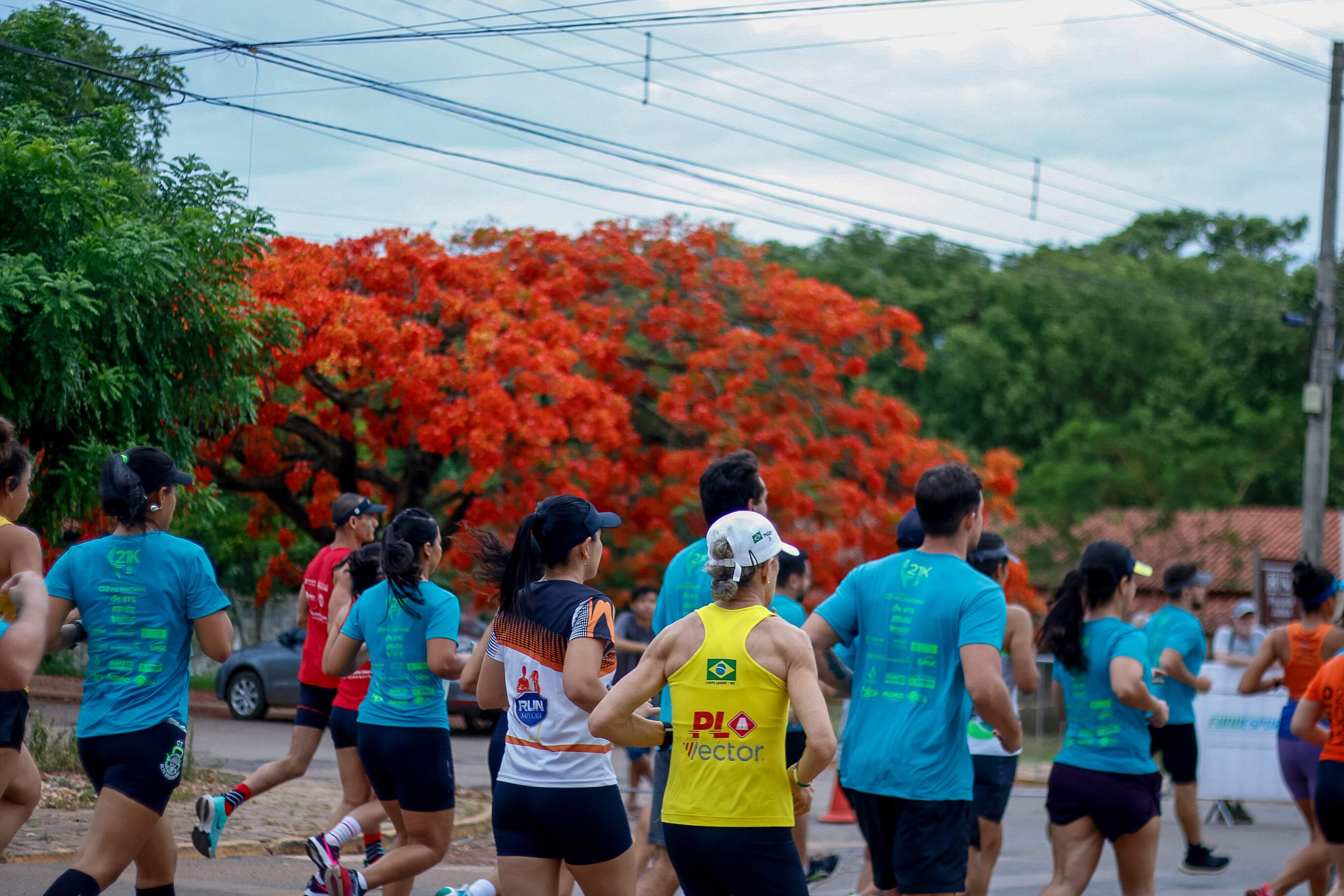 Meia-maratona leva atletas para correr cercados pela natureza em Bonito