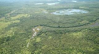 Elaboração do projeto da Lei do Pantanal foi anunciada pelo governo e estava em fase de debate (Foto/Divulgação)