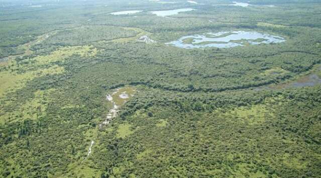 Projeto da Lei do Pantanal chegar&aacute; aos deputados at&eacute; dia 24, garante Riedel